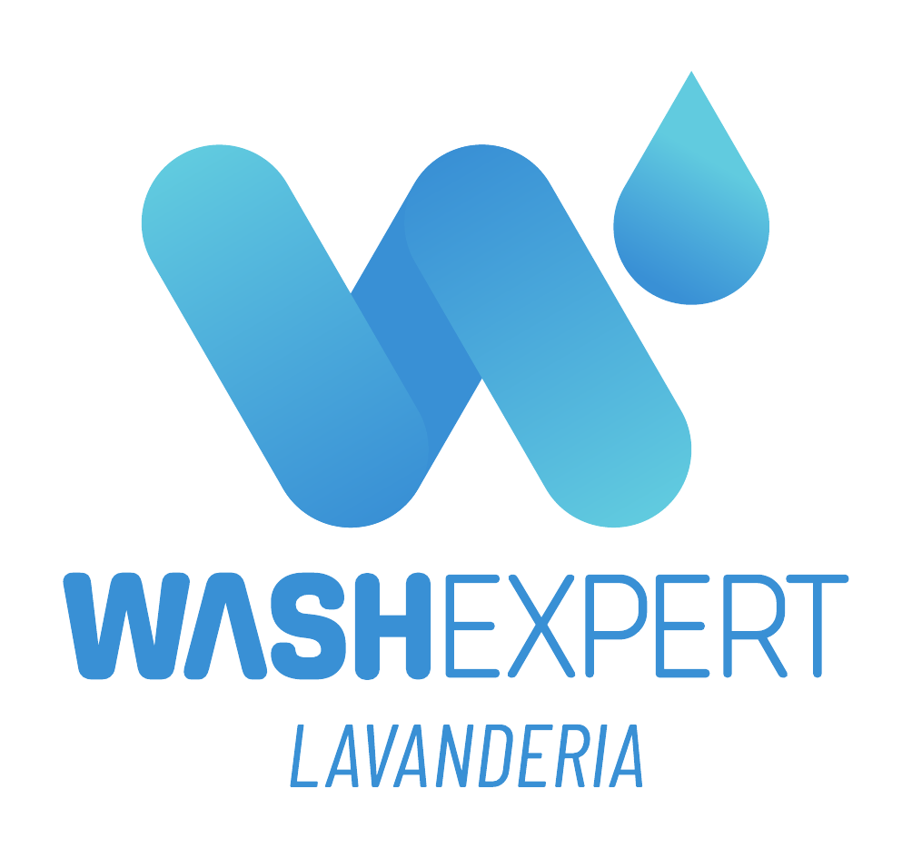 Wash Expert Logo